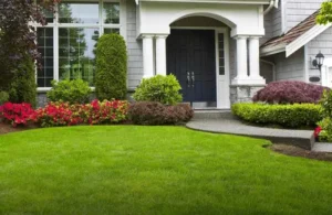 Landscaping