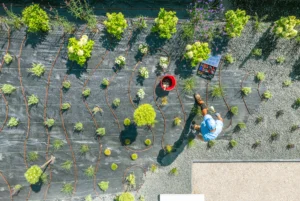 Landscaping Contractors