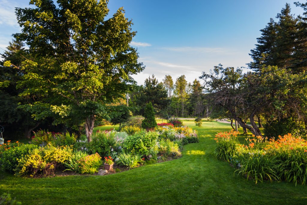 Landscaping Ideas